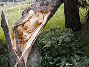 tree felling Melbourne